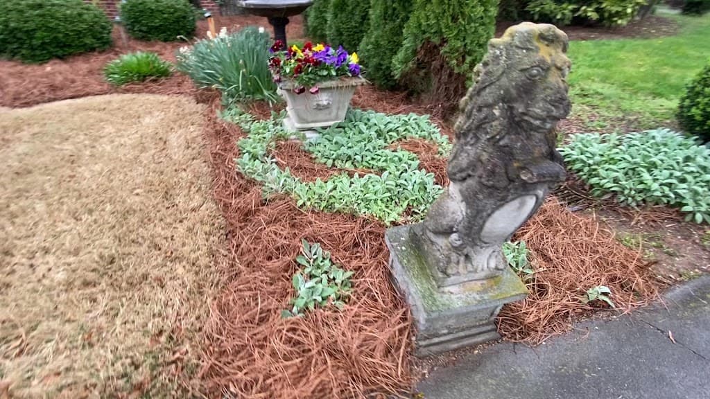 Ornamental garden bed with lion statue and mixed plantings